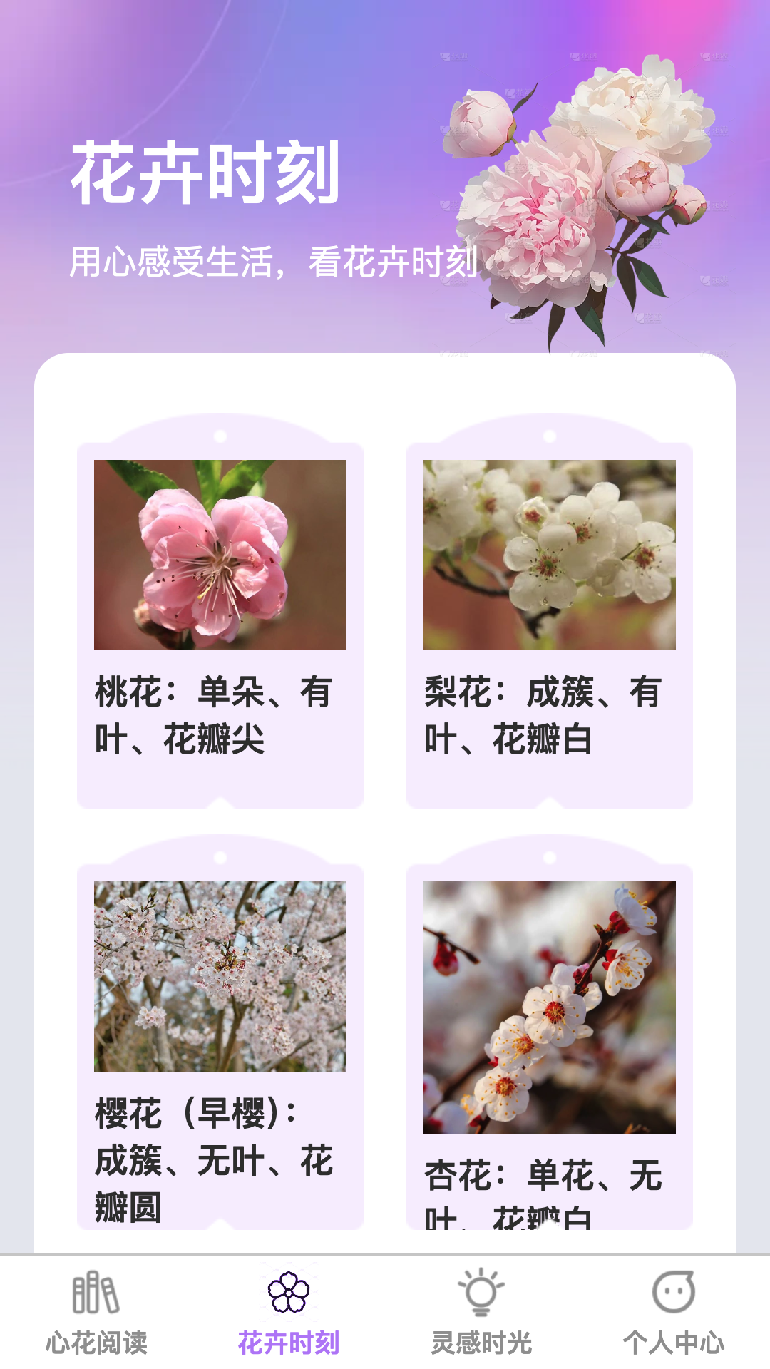 心花怒看截图2
