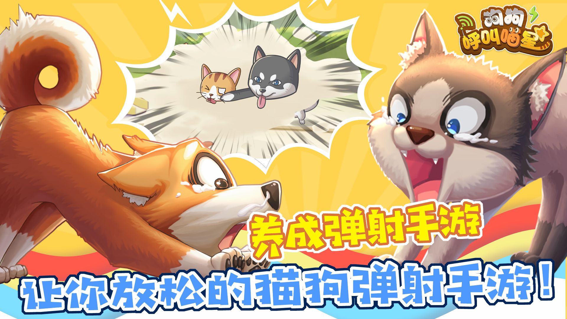 狗狗呼叫喵星截图1
