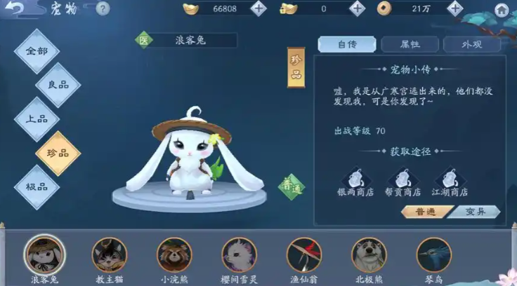 新笑傲江湖恒山选择什么宠物