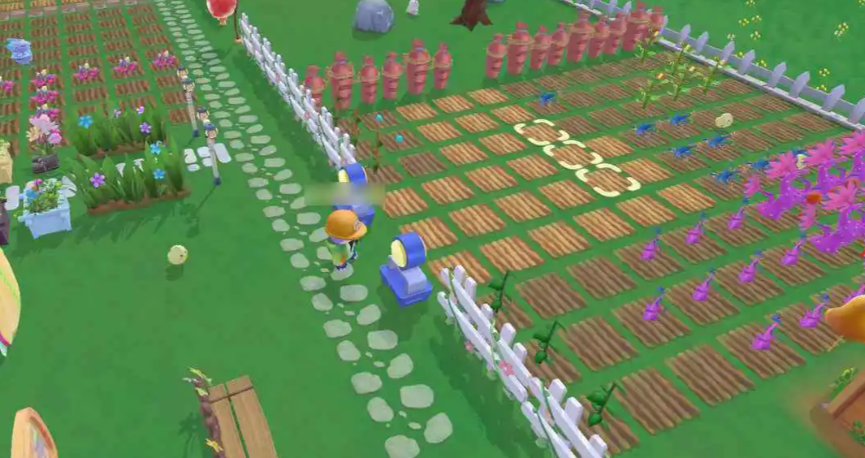 摩尔庄园新手怎么建设花园