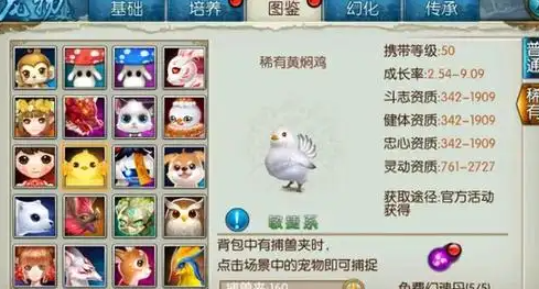 诛仙手游宠物小鸡学什么技能