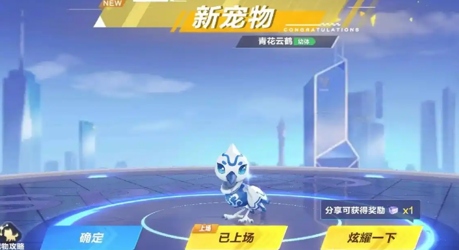 qq飞车道具平民宠物哪个好