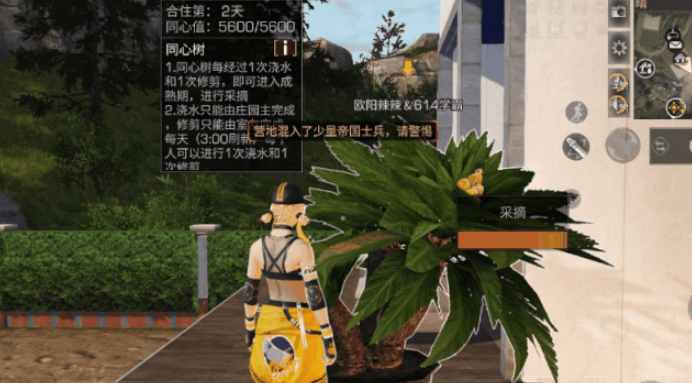 明日之后同心树在哪里