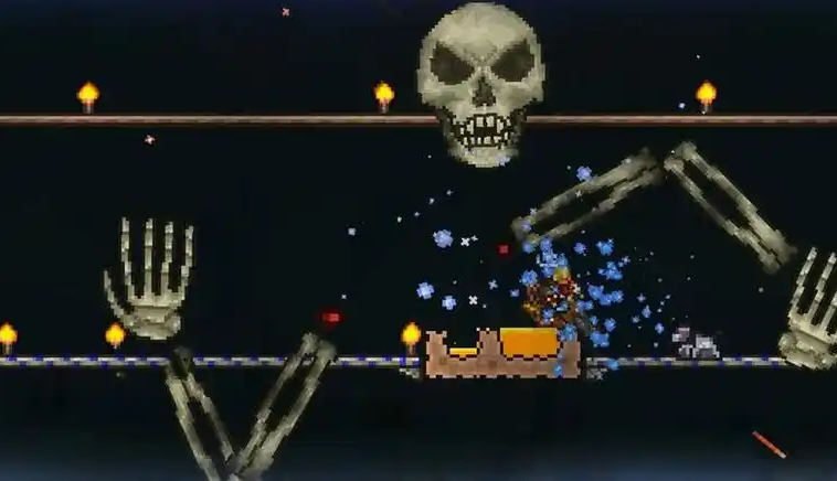 泰拉瑞亚专家骷髅王怎么打