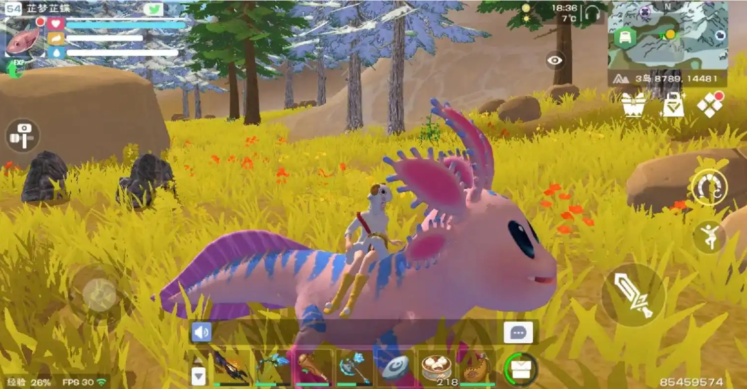 创造与魔法蝾螈饲料怎样制作