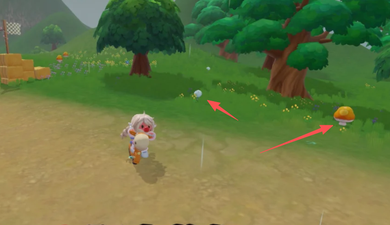 摩尔庄园怎么得到毛毛菇和大头菇