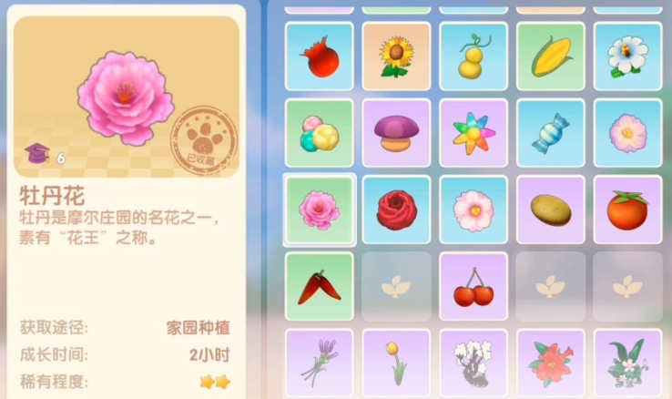 摩尔庄园花朵怎么买