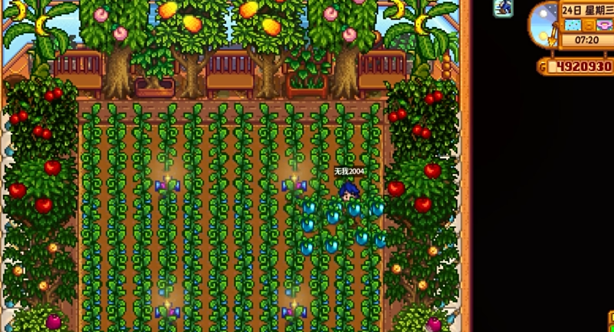 星露谷物语种植什么最赚钱