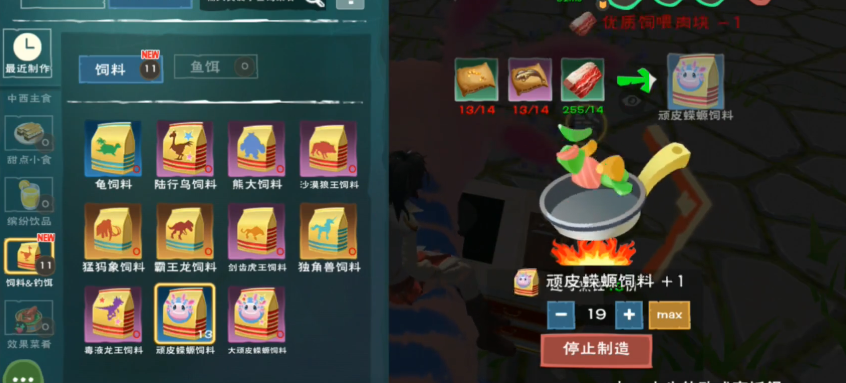 创造与魔法哪里有小顽皮蝾螈 创造与魔法哪里有小顽皮蝾螈