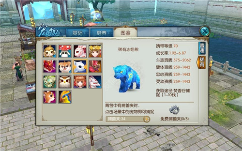 诛仙手游稀有冰熊用什么技能玉