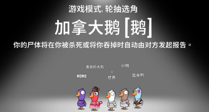 鹅鸭杀单走牌是哪些