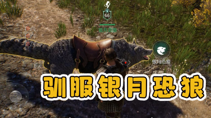 黑暗与光明新手训什么宠物