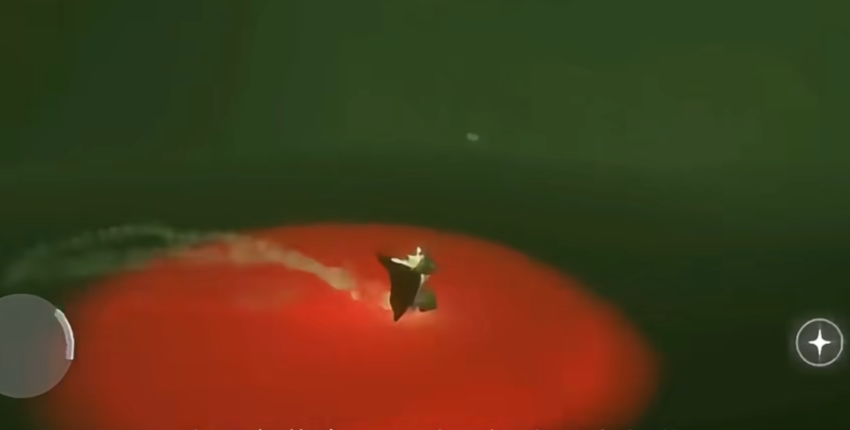 光遇萌新如何遛龙