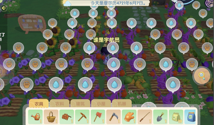 摩尔庄园农场怎么摆