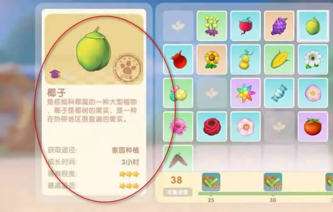 摩尔庄园怎么收获椰树