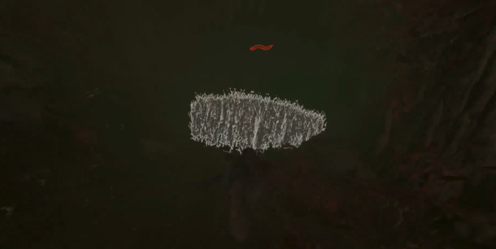 古墓丽影食人鱼古墓怎么过 古墓丽影食人鱼古墓怎么过