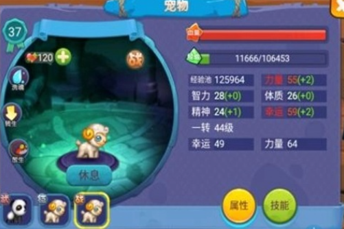 魔力世纪刺客带什么宠物好