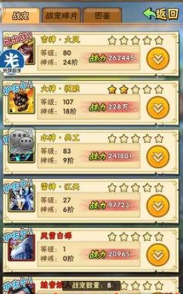 少年三国志金宠用什么