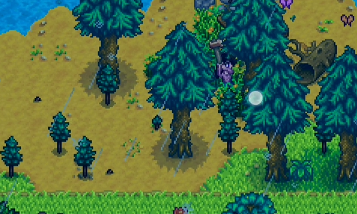 星露谷物语神秘森林在哪里