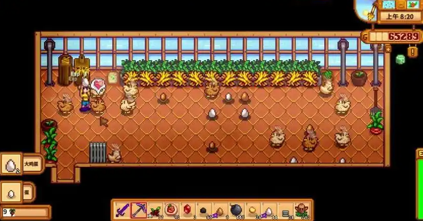 星露谷物语怎么养鸡