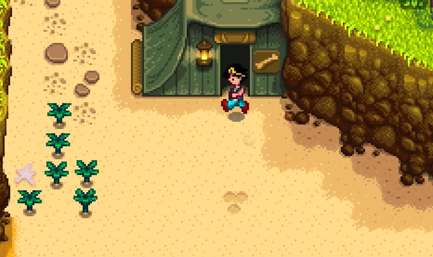 星露谷物语姜岛帐篷任务怎么做