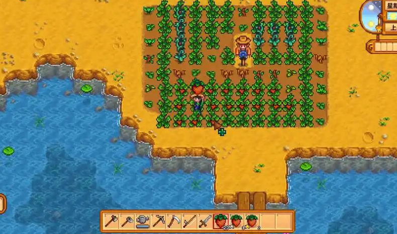 星露谷物语第一年春天种什么