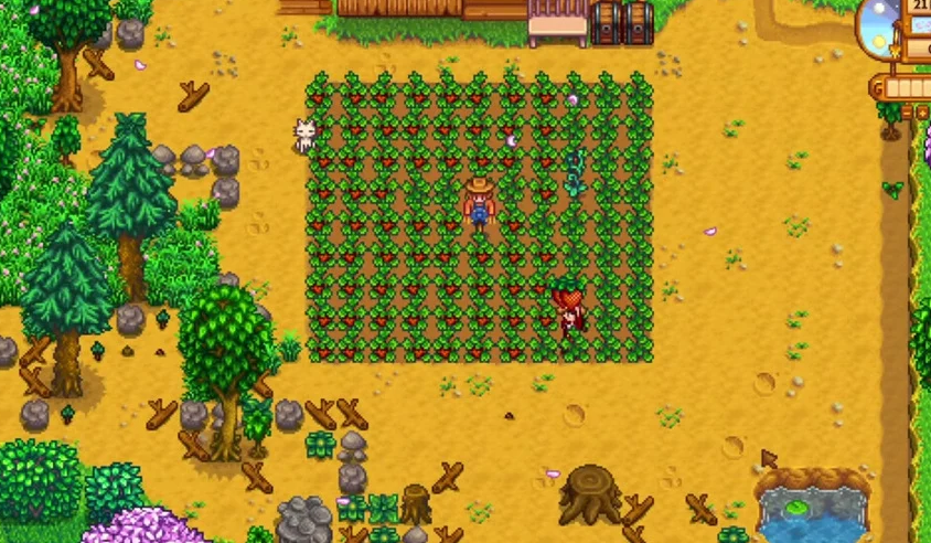 星露谷物语春天怎么赚钱 星露谷物语春天怎么赚钱