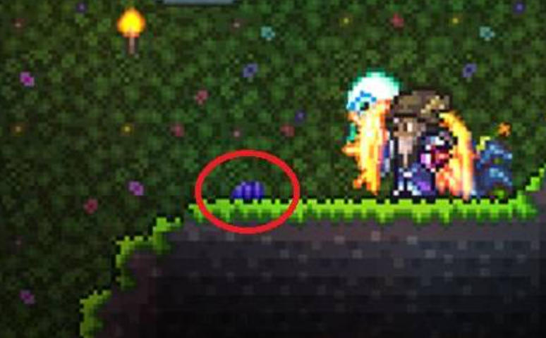 泰拉瑞亚如何快速获得鱼饵