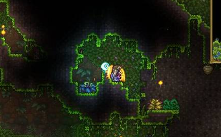 泰拉瑞亚如何快速获得鱼饵