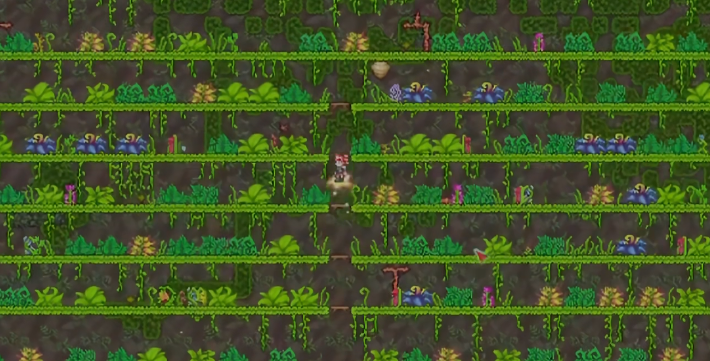 泰拉瑞亚如何增加花苞数量