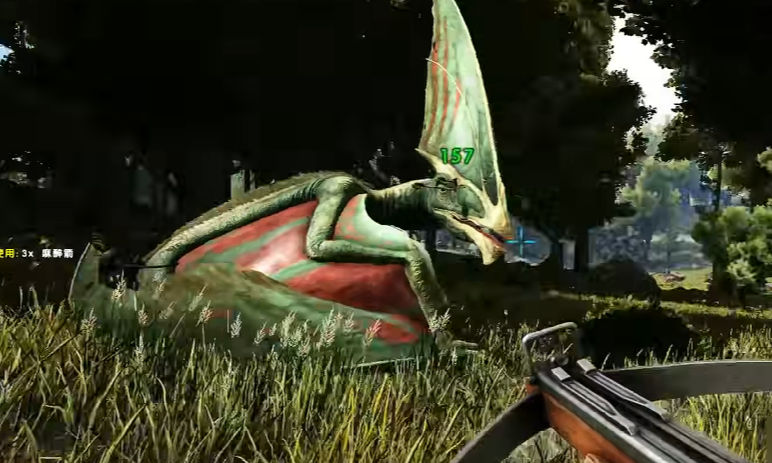 方舟生存进化翼龙怎么加点