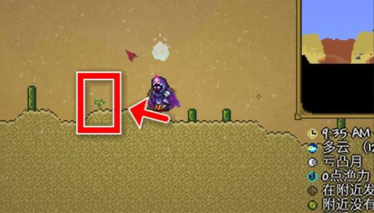 泰拉瑞亚里的幌菊哪个地方多